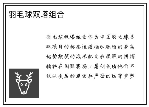 羽毛球双塔组合